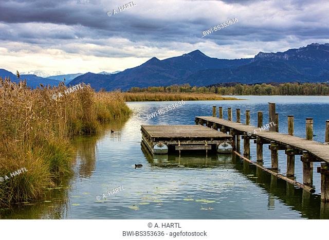 autumn at the Chiemsee in front of Alps scenery, Germany, Bavaria, Lake Chiemsee