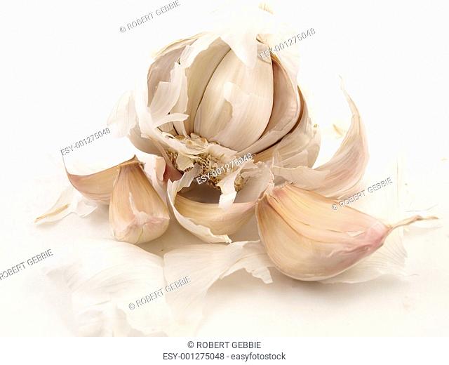 Open Clove of Garlic