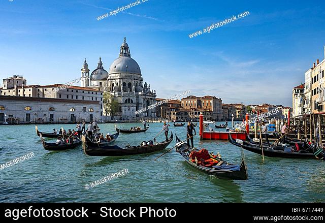 The Basilica of Santa Maria della Salute on the Grand Canal in Venice, Venice, Italy, Europe