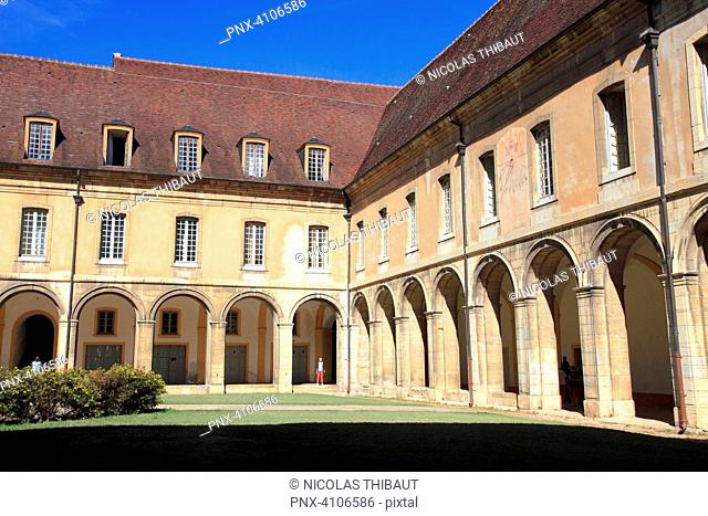 France, Bourgogne Franche Comte, Saone et Loire department (71), Cluny, Cluny abbey, the cloister