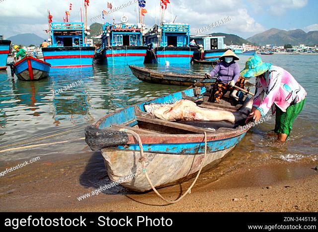 Women with shark in the boat in Nha Trang, Vietnam