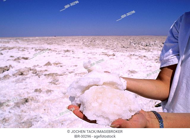 CHL, Chile, Atacama Desert: salt lake Salar de Atacama