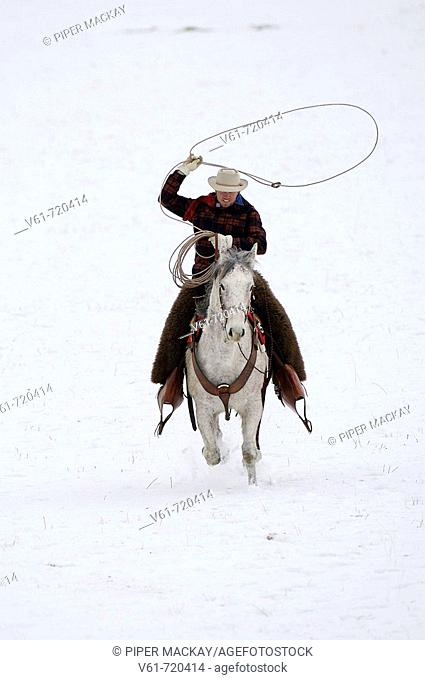Cowboy and larieat riding through winter snow Shell, Wyoming, Usa