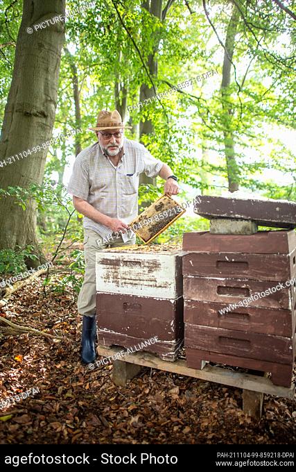 28 September 2021, Lower Saxony, Kirchlinteln: Beekeeper Heinrich Kersten controls honeycomb bee colonies located near the flowering area