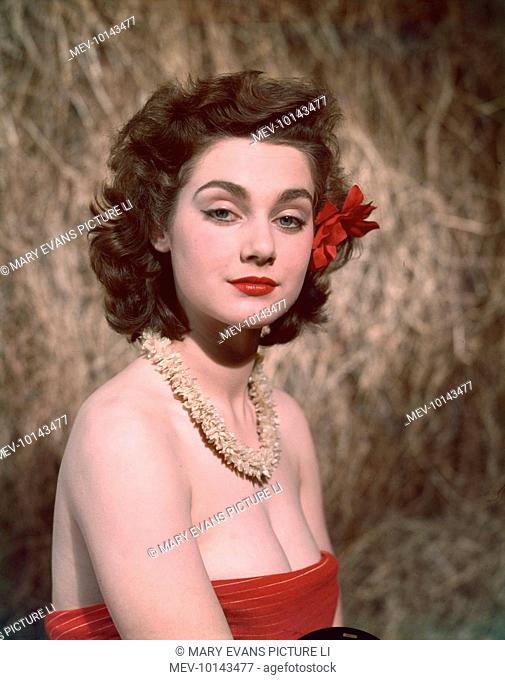 Brunette model with a red hibiscus flower in her hair, a white shell necklace and a superior look on her face, gazes at the camera with heavy lidded eyes