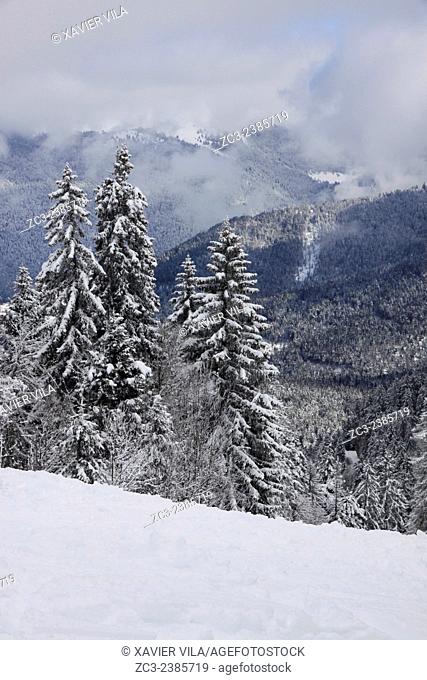 The mountainous of ""La Grande Chartreuse"" received the National Forest Exception label. After Fontainebleau and Verdun is the third site to receive this award