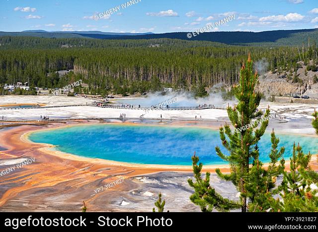 Grand Prismatic Spring Pool In Yellowstone National Park, Wyoming, USA