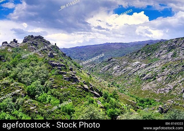 Laboreiro river valley, Castro Laboreiro village, Peneda Geres National Park, Minho, Portugal, Europe