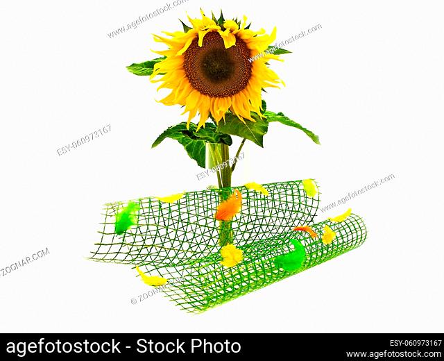 Yellow Sunflower In Vase Near Multicolored Abstract Decoration Over White Background