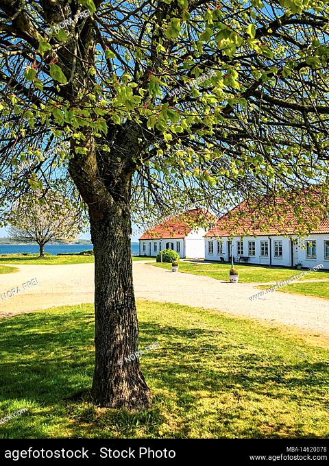 Kalö, island, house, landscape, Denmark