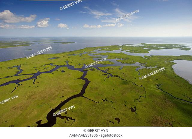 Aerial view of salt marsh in the Barataria Bay area of the Mississippi River delta. Plaquemines Parish, Louisiana. July 2010