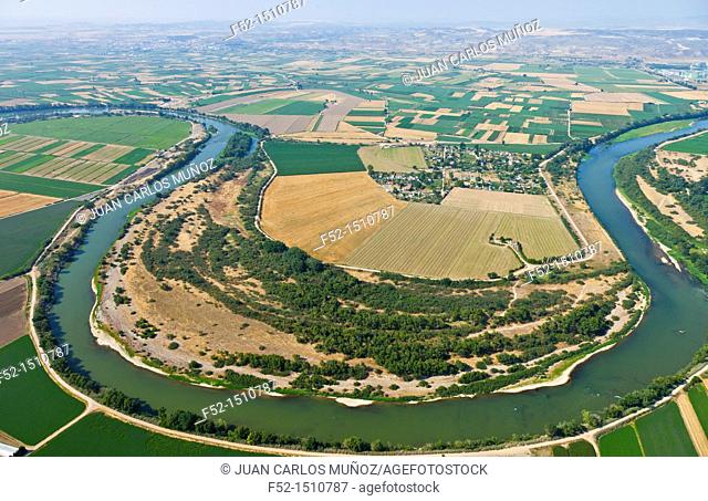 Ebro river Agricultural landscape  Zaragoza Province, Aragon, Spain, Europe