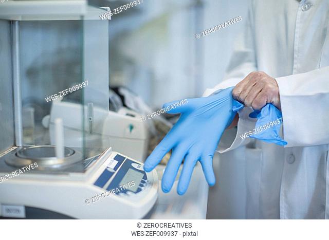 Scientist in lab putting on latex gloves