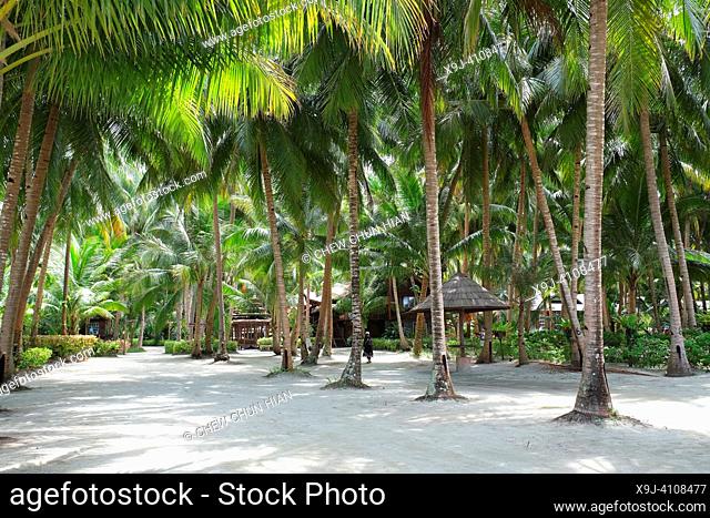 Mabul islands palm beach. The Mabul Islands are in the Celebes Sea off the coast of Sabah, Malaysia. The islands feature the palm-fringed beaches of Pulau Mabul...