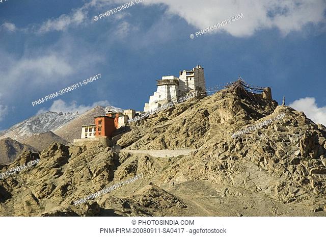 Fort and gompa on a hill, Victory Fort, Namgyal Tsemo Gompa, Leh, Ladakh, Jammu and Kashmir, India