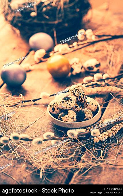 Quail eggs for Easter and blooming pussy willow branches on wooden background