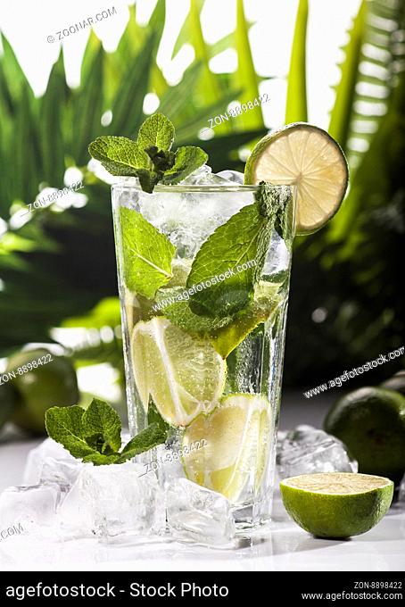 Mojito cocktail on white table and green tropical leaves background