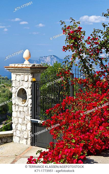 Bougainvillea flowers and a stone gate near Massa Lubrense, Italy