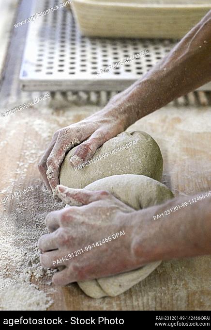 21 November 2023, Brandenburg, Beelitz: The dough for bread is processed at the Exner bakery. It is made by hand using the bakery's own recipes and regional raw...