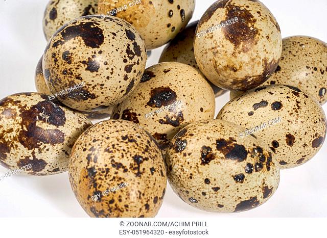 some brown dappled quail eggs in light back