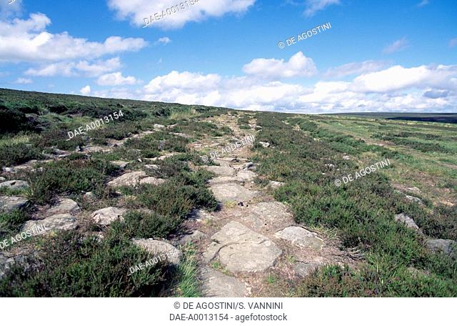 Wheeldale Roman Road, North York Moors National Park, North Yorkshire, England, United Kingdom. Roman civilisation