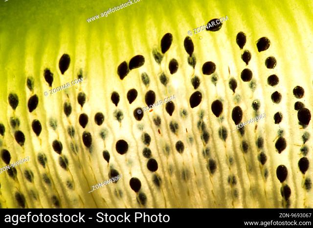 Kiwi fruit sliced flesh macro closeup on bright light background