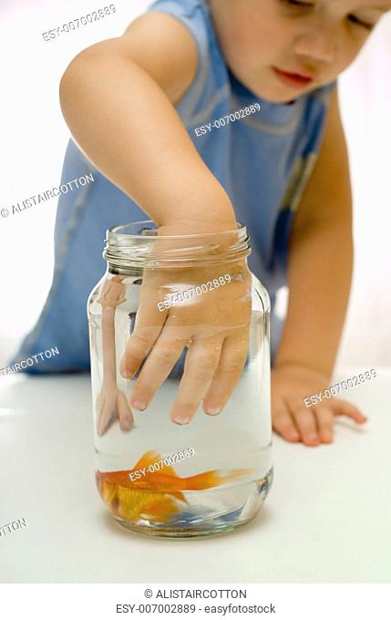 Toddler boy with hand in fish bowl catching fish