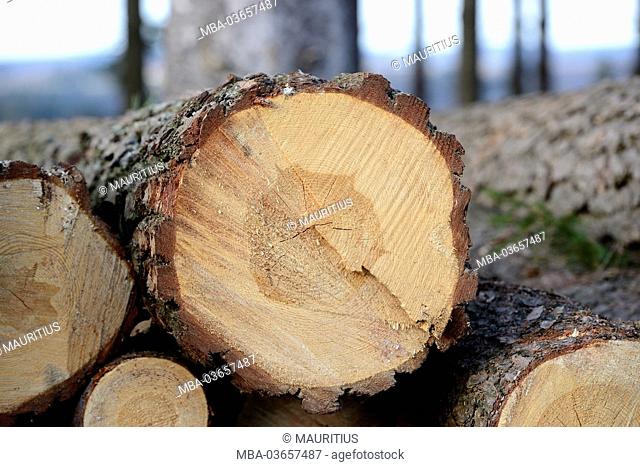 log bollard, wood, winter, Upper Palatinate, Bavaria, Germany