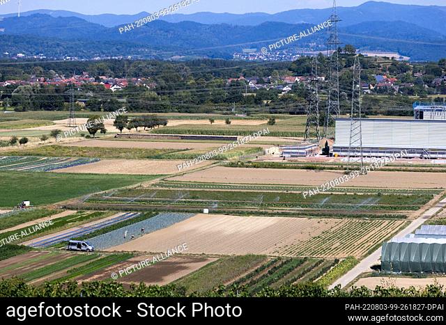 03 August 2022, Baden-Wuerttemberg, Eichstetten am Kaiserstuhl: A sprinkler system irrigates a field in the Rhine valley while people work on an adjacent field...