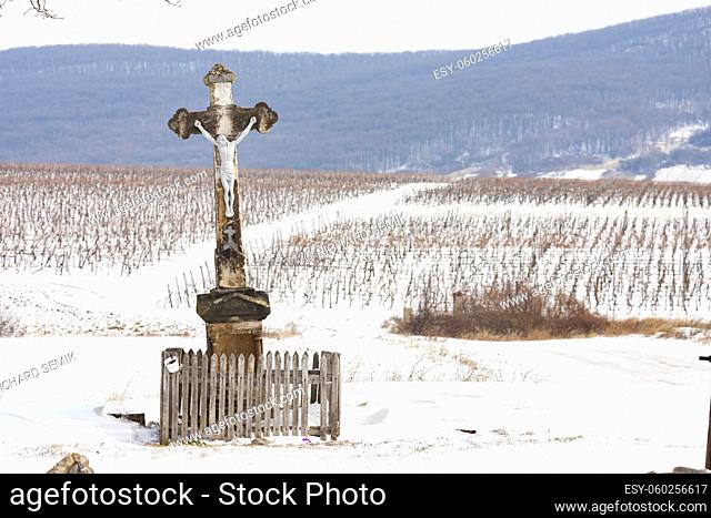 Wineyards near Sarospatak, Tokaj region Hungary