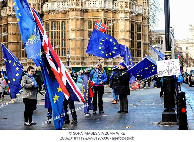 November 19, 2018 - London, United Kingdom - Pro-EU protesters are seen holding flags during the protest..Pro-EU protesters from SODEM (Stand in Defiance...