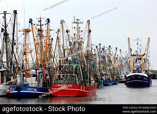 22 March 2023, Schleswig-Holstein, Büsum: Numerous cutters with different home ports are moored at a protest event of farmers and crab fishermen in the harbor...