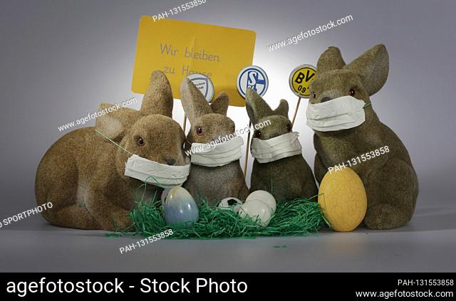 firo: April 6th, 2020 Easter 2020, Easter bunnies with mouthguard and Schalke logo, BVB, and Vfl Bochum fans in the Ruhr area must be patient until the ball...