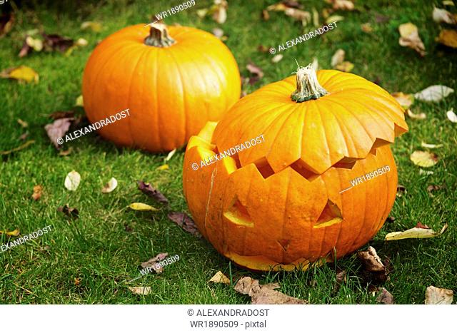Pumpkin carving, Jack O'Lantern on Lawn