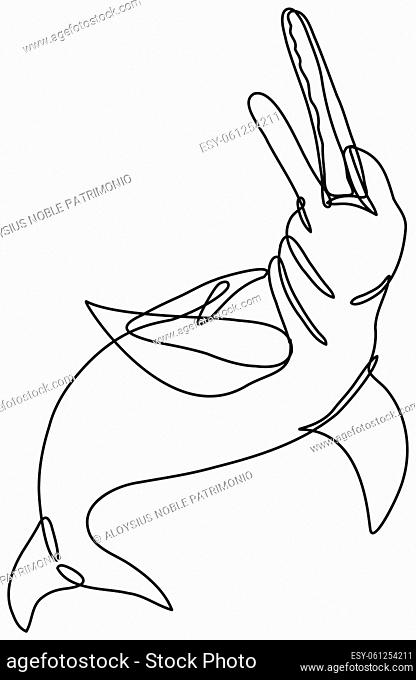 Continuous line drawing illustration of an Amazon River Dolphin or boto done in mono line or doodle style in black and white on isolated background