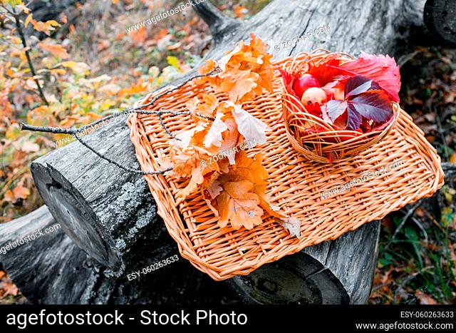 Juicy apples on a wicker tray, surrounded by fallen autumn leaves. Beautiful branch with dry leaves lying around apples. Five beautiful juicy apples