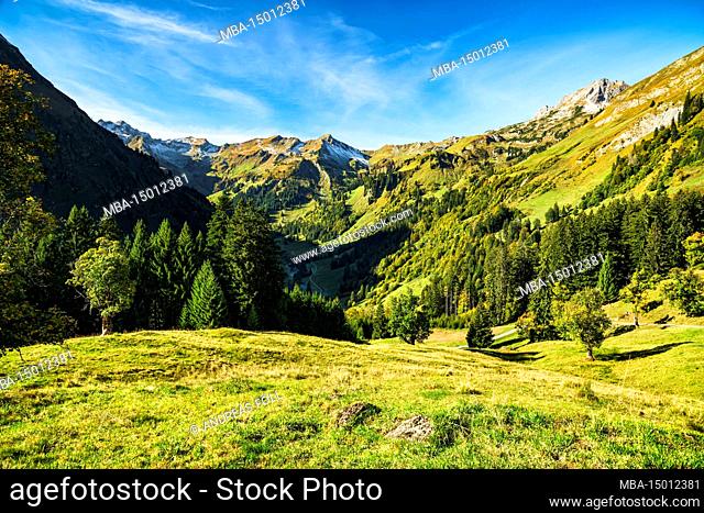Idyllic mountain landscape under blue sky in autumn. Hintersteiner Valley, Allgäu Alps, Bavaria, Germany, Europe