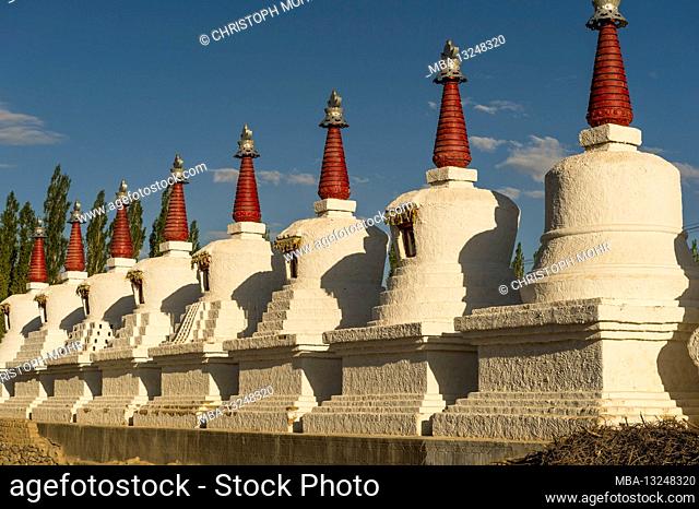 the Thikse Gompa monastery
