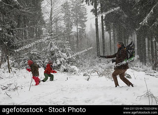 25 November 2023, North Rhine-Westphalia, Winterberg: A family has a snowball fight in the wintry forest Photo: Sascha Thelen/dpa