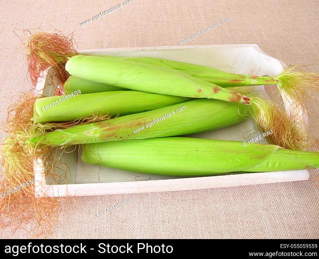 Young corn ears in husk leaves from the garden on a tray