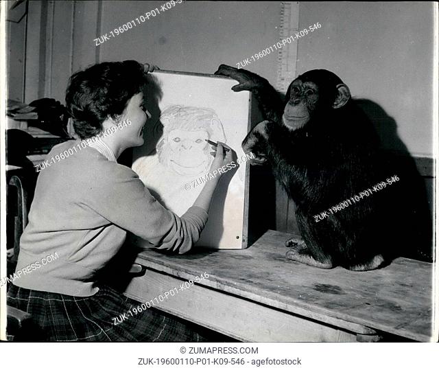 Mar. 02, 2012 - Sally The Chimp As An Artist's Model: Patiently Sally sits for art student Marion Latter of Hornery Art School