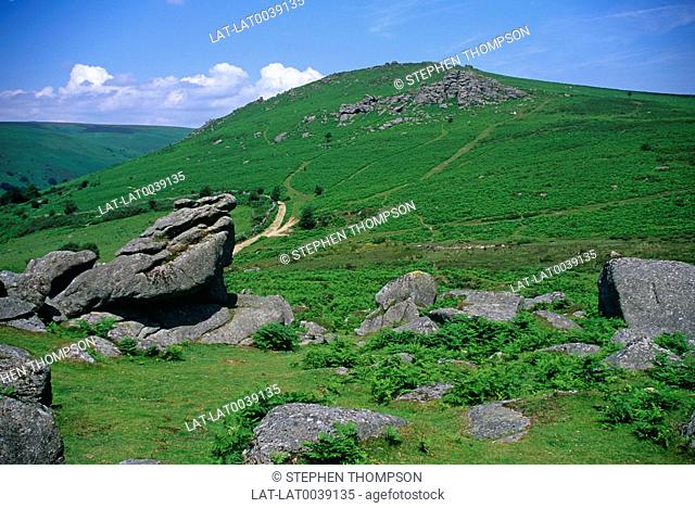 Dartmoor is well known for its tors. These are large hills with outcrops of bedrock on the summit. There are over 160 tors on Dartmoor