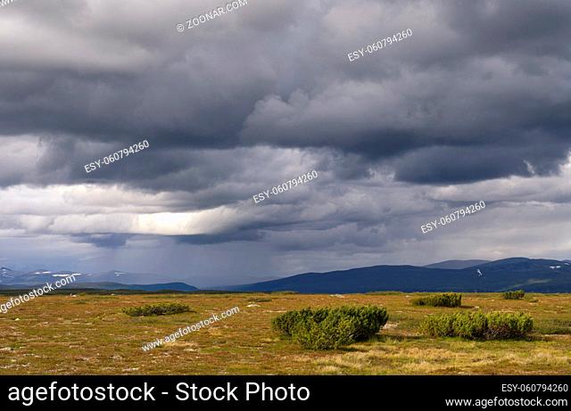 Wide view over the Swedish mountain plateau called Flatruet in the Swedish province Jamtland close to the Norwegian border