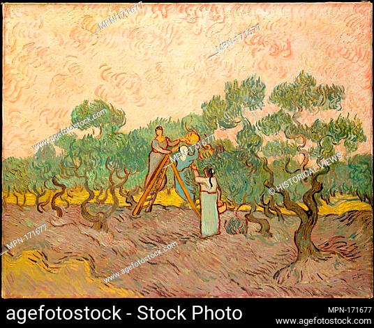 Women Picking Olives. Artist: Vincent van Gogh (Dutch, Zundert 1853-1890 Auvers-sur-Oise); Date: 1889; Medium: Oil on canvas; Dimensions: 28 5/8 x 36 in