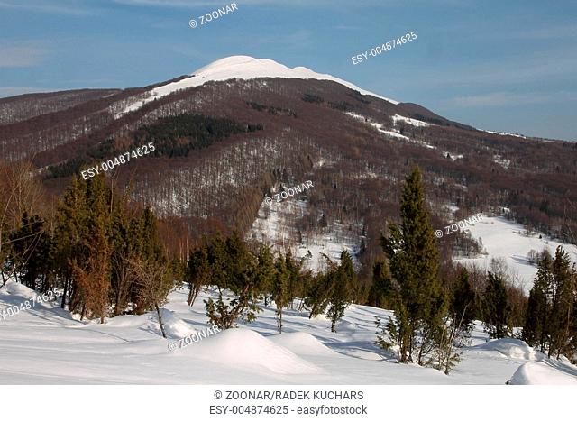 Poonina Caryska. Bieszczady Mountains