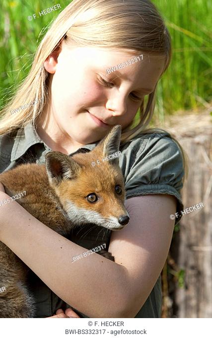 red fox (Vulpes vulpes), girl with an orphaned juvenile on the arm being upbrought by hand, Germany