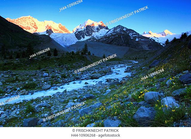 Evening, Alps, afterglow, creek, brook, mountain, mountain panorama, mountain flowers, mountains, mountain flora, mountain spring, mountain panorama, Bernina
