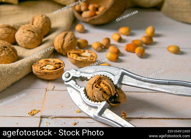 Walnuts in a wooden box next to a hazelnut in a coconut shell, nuts scattered on a white wooden table on which the nut cracker also stands