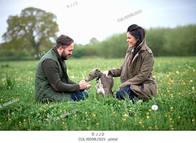 Woman and man kneeling to pet dog in field