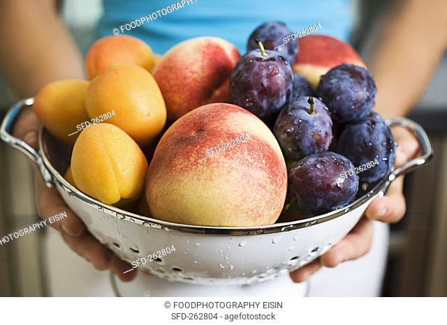 Woman holding colander full of plums, peaches and apricots